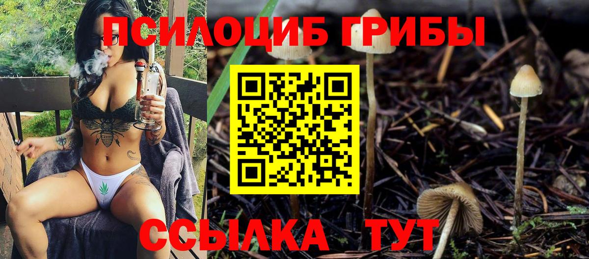 Галлюциногенные грибы Magic Shrooms Кизилюрт