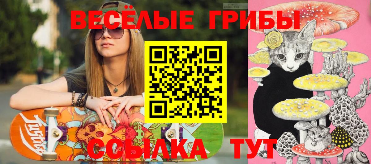 Cocaine  ГАШИШ  Конопля  A PVP СОЛЬ   Наркошоп  Кизилюрт  Меф   КОКАИН  Вход с VPN 