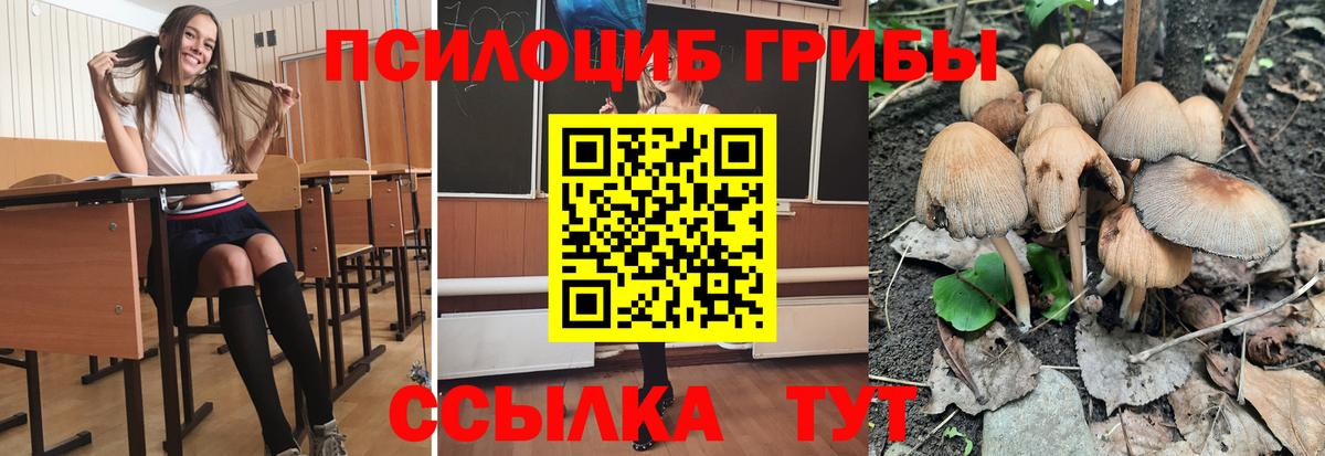 Галлюциногенные грибы Magic Shrooms  Вход с VPN  Галлюциногенные грибы Magic Shrooms  Кизилюрт 